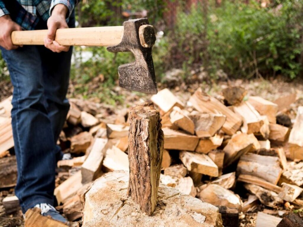 backyard stump grinding