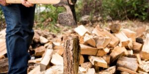 Backyard Stump Grinding: What Homeowners Should Know