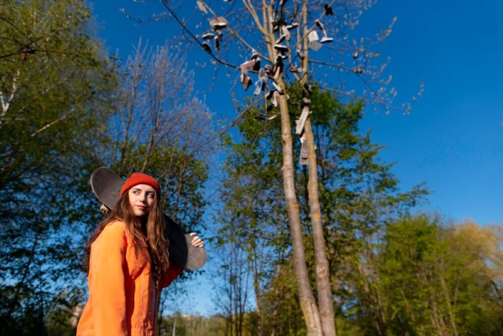 level 5 arborist northern beaches