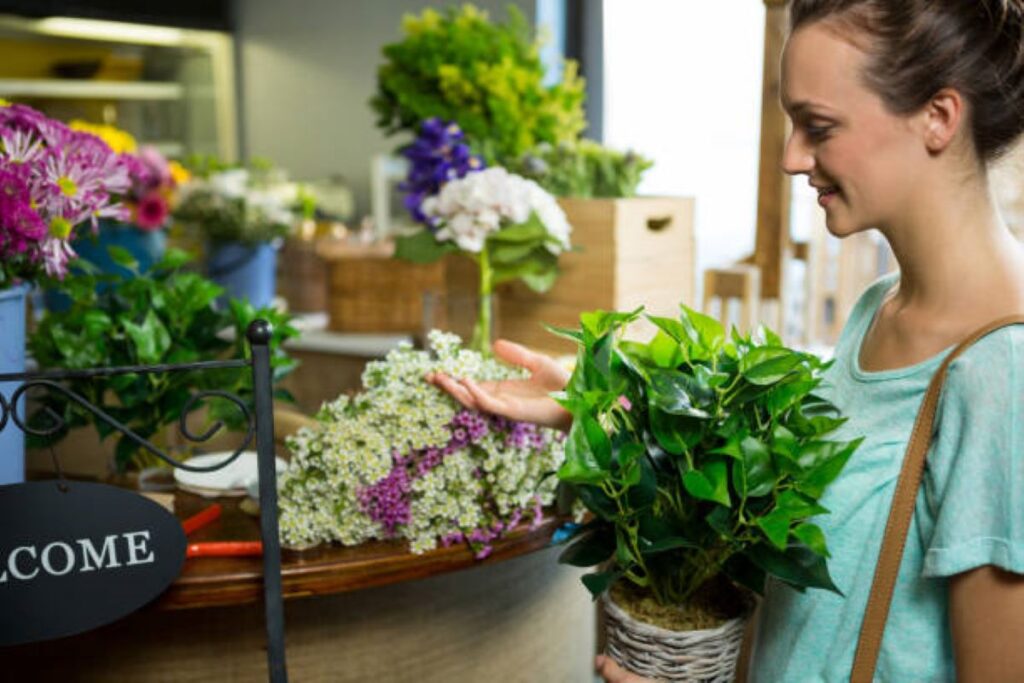 Willoughby Florist