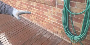 Top 5 Reasons You Should Book a Termite Inspection in Sydney Before Summer