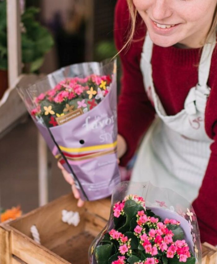 Stunning Roseville Flowers to Brighten Your Home