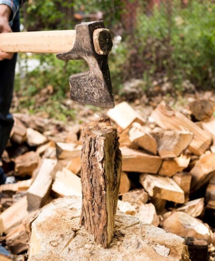 Backyard Stump Grinding: What Homeowners Should Know