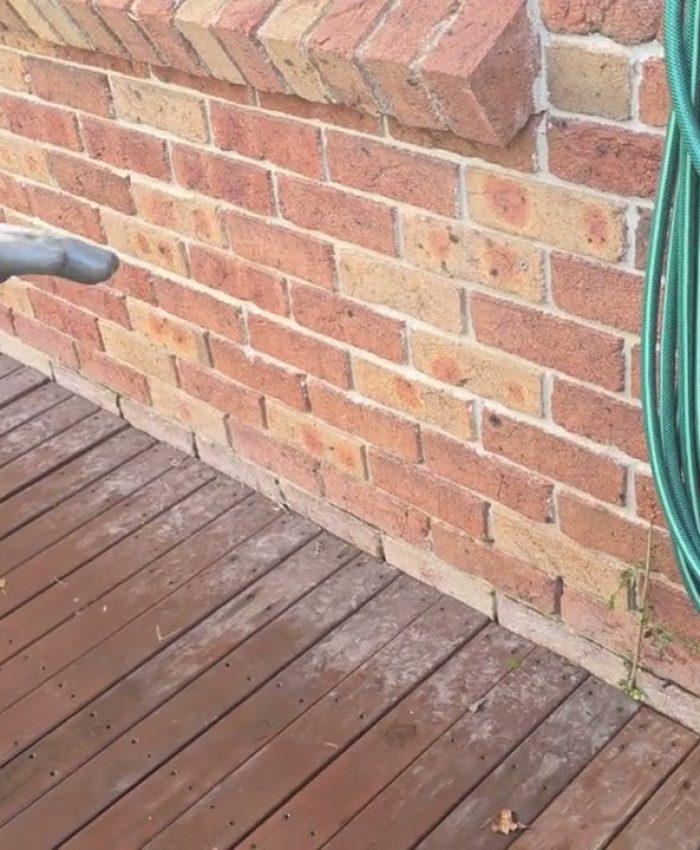 Top 5 Reasons You Should Book a Termite Inspection in Sydney Before Summer